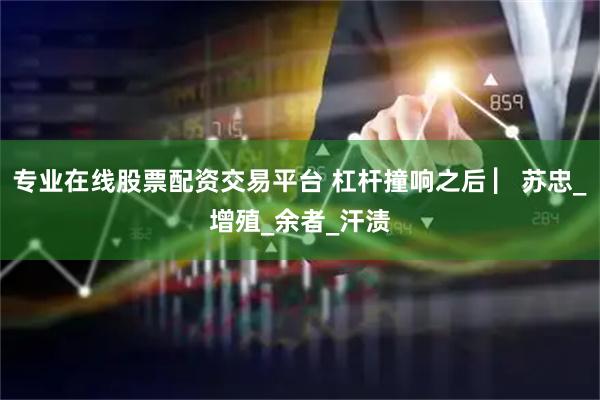 专业在线股票配资交易平台 杠杆撞响之后 ▏苏忠_增殖_余者_汗渍